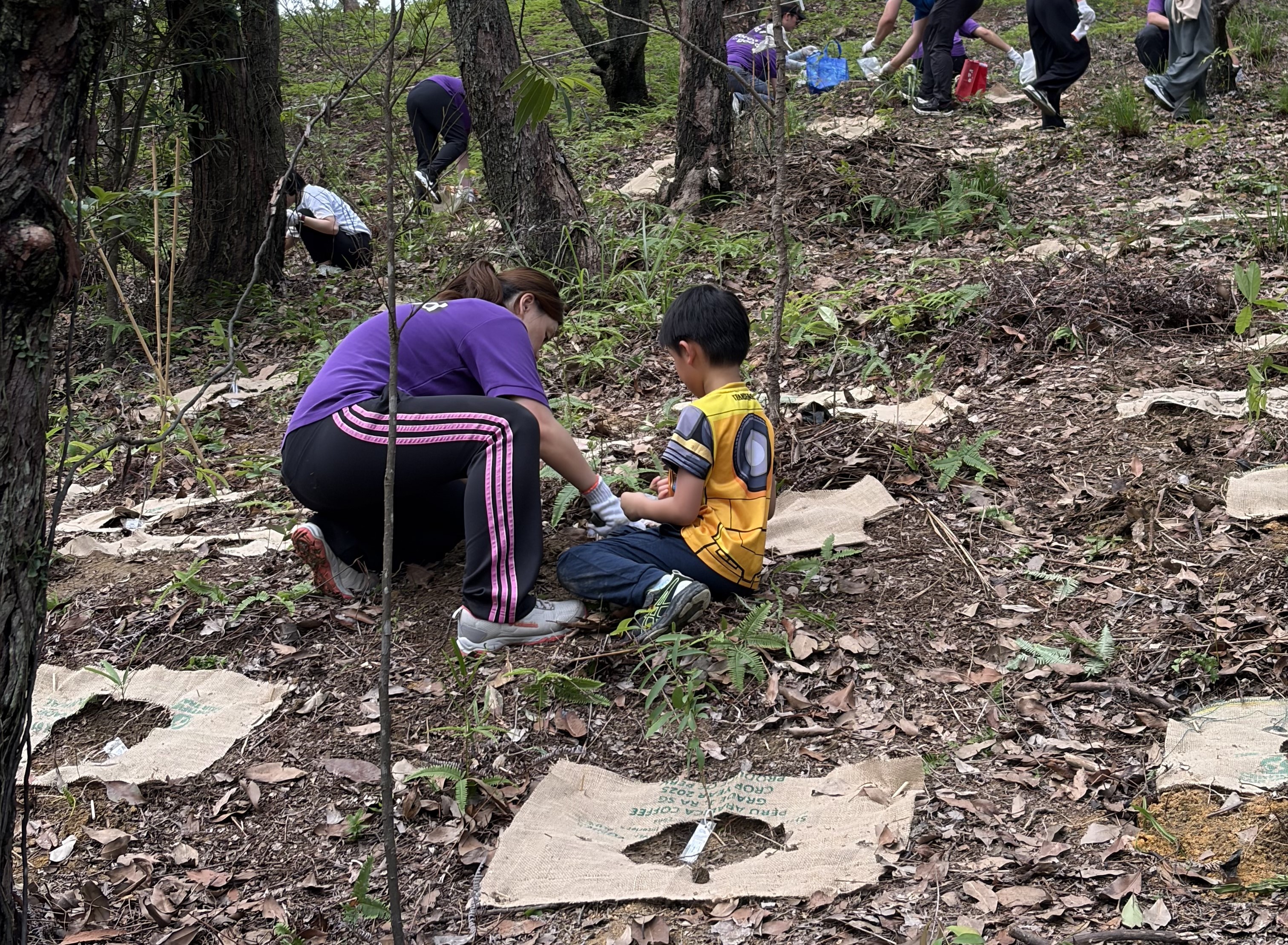 Tree Planting with Green Power (Hong Kong branch office)