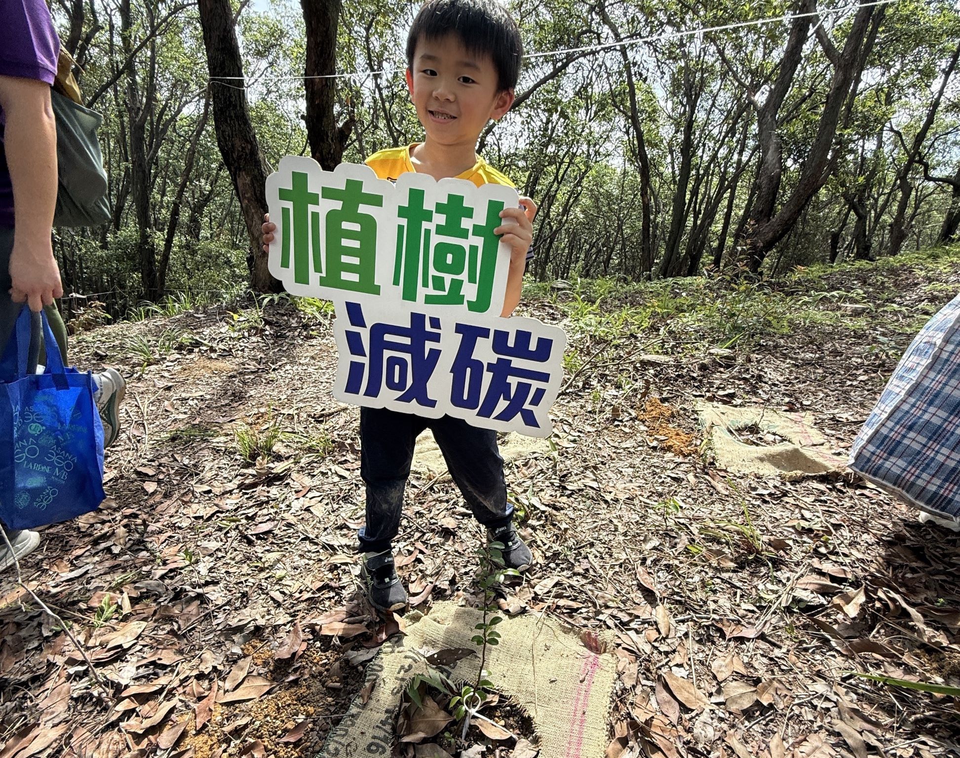 Tree Planting with Green Power (Hong Kong branch office)