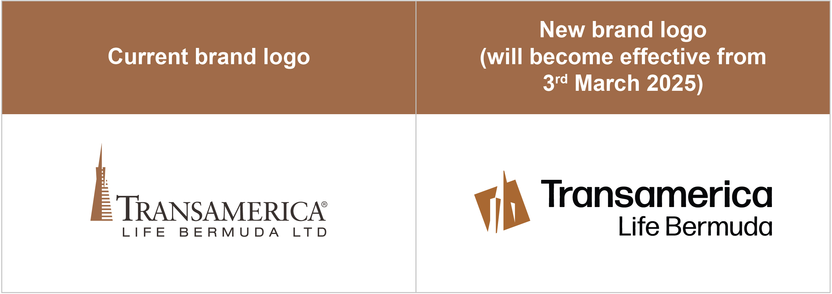 brand refresh with new logo preview
