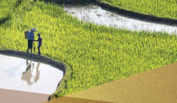 TLB Releases New Study Providing Insights on HNW Individuals’ Approach to Succession Planning